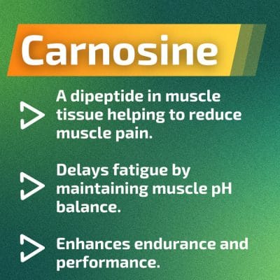 Lactigo Carnosine